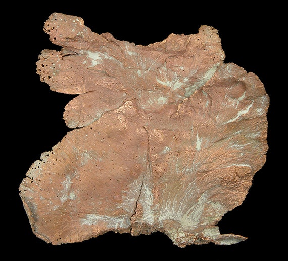 Copper / (leaf-like specimen) / Locality - Corocoro District, Pacajes Province, La Paz Department, Bolivia