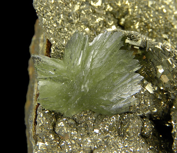 Ludlamite on Pyrite / Locality - Huanuni mine, Huanuni, Dalence Province, Oruro Department, Bolivia