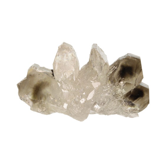 Cerussite (GEMMY smoky colored "snowflake" twin) / Locality - Tsumeb Mine, Tsumeb Otjikoto Region, Namibia