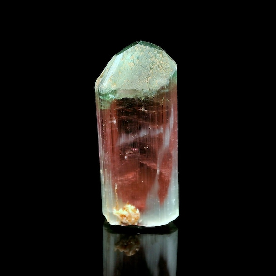 Gemmy bi-colored Tourmaline crystal - Golconda, Minas Gerais, Brazil