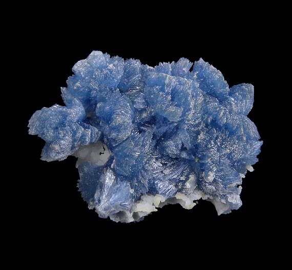 Vauxite on Wavellite / Locality - Siglo XX Mine (Siglo Veinte Mine), Llallagua, Potosi Department, Bolivia / (Type Locality for Vauxite)