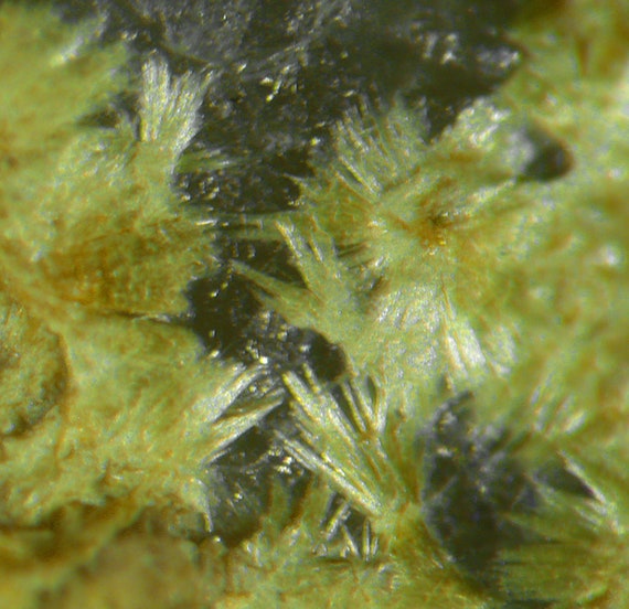 Ferrimolybdite / Molybdite / Locality - Climax Mine, Bartlett Mountain, Colorado