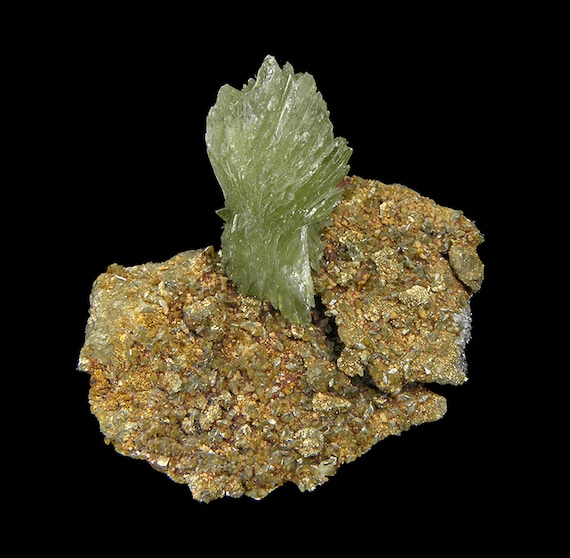 Ludlamite with Vivianite on matrix / Locality: Huanuni mine, Huanuni, Dalence Province, Oruro Department, Bolivia