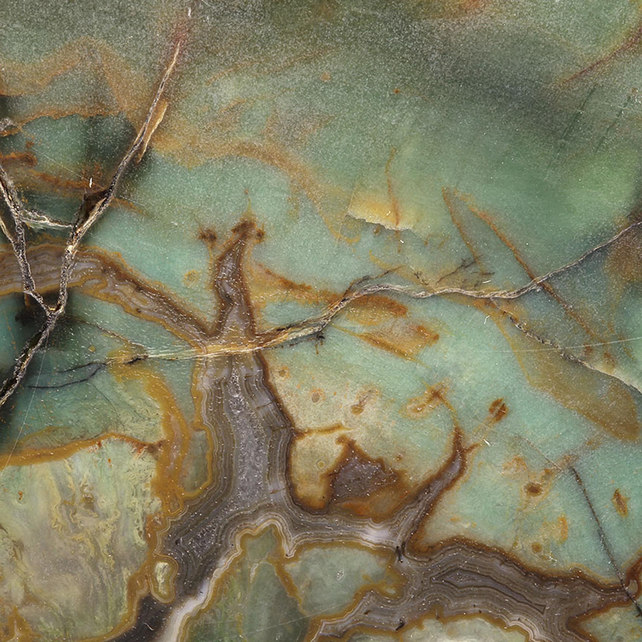Petrified Wood (incredibly rare color) with Banded Agate / Locality