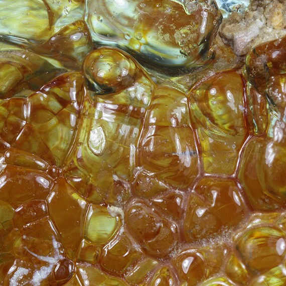 Opal / (variety - “Opal-AN”) / (variety - “Hyalite Opal”) / (“Blood Vessel Opal”) / Locality - San Luis Potosi, Mexico