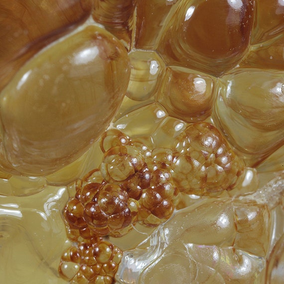 Opal / (variety - “Opal-AN”) / (variety - “Hyalite Opal”) / (“Blood Vessel Opal”) / Locality - San Luis Potosi, Mexico