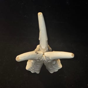 May include: A cream-colored, ceramic decorative object with a central, upward-pointing element and two horizontal, finger-like projections. The base features a textured, fan-like design. The object is marked "NIPPON JAPAN".