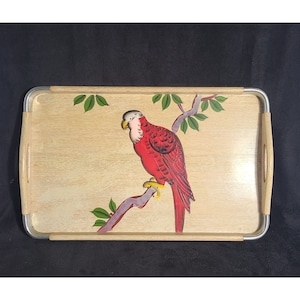 MCM 1960s Cool hand painted parrot tray