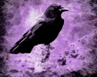 Black Crow on Purple Giclee Print, Crow Canvas, Crow Wall Art, Raven Bird Wall Art