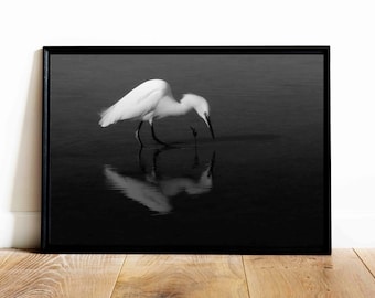 Snowy Egret Giclee Print, Black and White Bird Photography, Minimalist Reflection Art