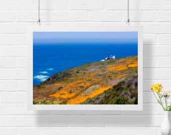 Coastal view with Yellow Flowers Landscape Photograph Print, Ocean, Big Sur, California, Nature Photography, Wall Art, Fine Art