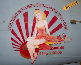 May include: Artwork on a light blue surface featuring a seated woman in a red and orange dress, with the text "TORPEDO BOMBER SQUADRON TWO ONE" and "1945-2005". A yellow arrow points to the word "RESCUE".