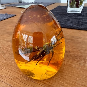 Jurassic Elephant Mosquito in Amber
