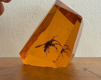 May include: A clear amber crystal pyramid with two black wasps trapped inside. The crystal is sitting on a wooden surface.