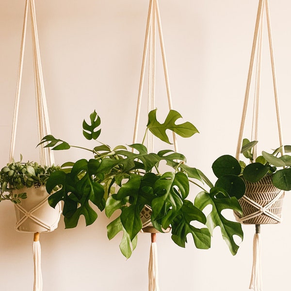 Macrame hanging basket | Plant hanger