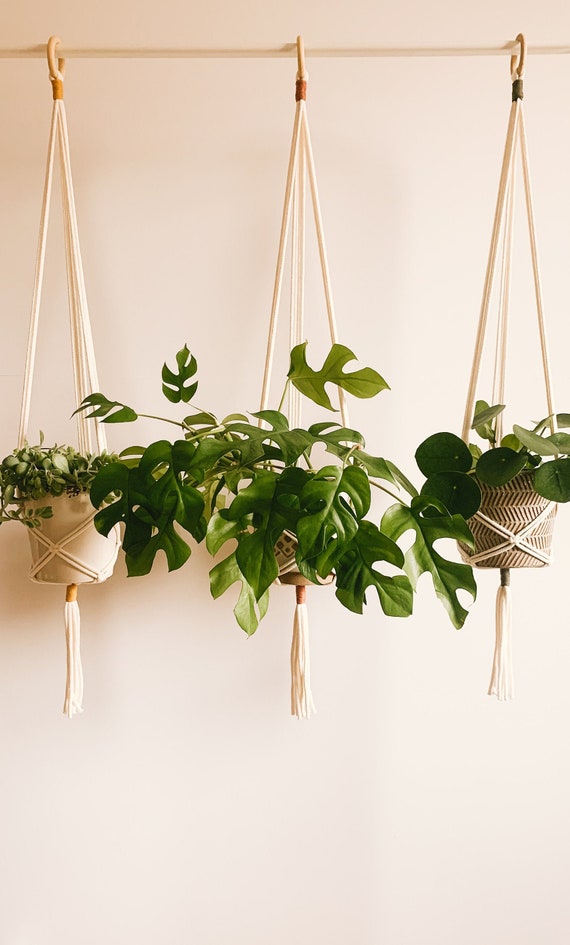 Makramee Blumenampel | Pflanzenhänger