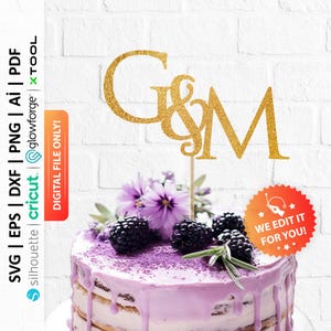 Adorno para tarta con monograma personalizado SVG, adorno para tarta con inicial personalizado SVG, adorno para tarta de boda con letras SVG, adorno para tarta de compromiso PNG - PD0597