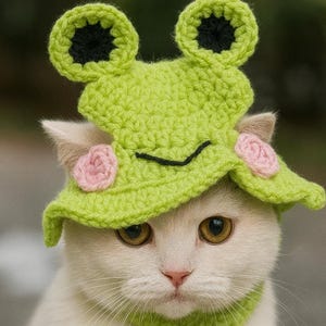 Crochet Frog Hat Pattern for Cats: Easy DIY Pet Costume (PDF Pattern)