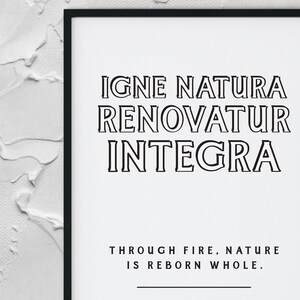 Stampa artistica con citazione latina / Motivazione ed educativo / Arredamento rustico per la casa / Igne Natura Renovatur Integra / Stampe originali / Venditore d&#39;arte nel Regno Unito