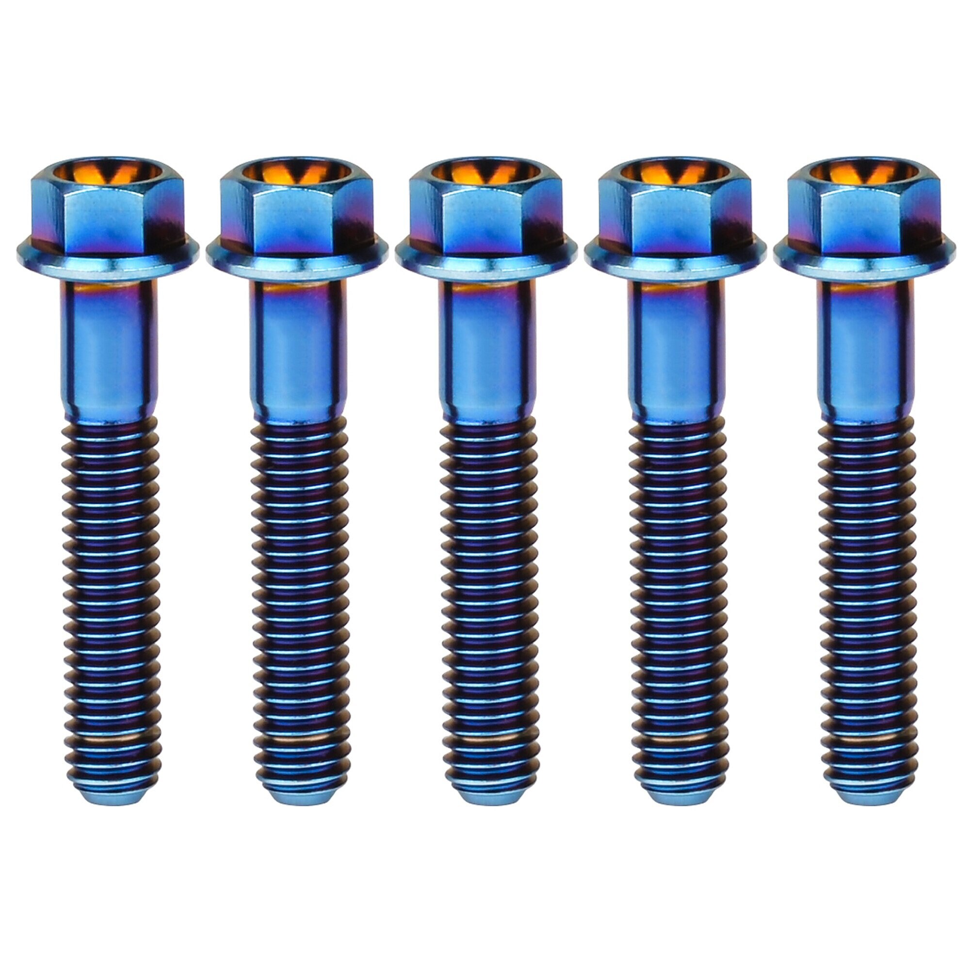 Bulloni M6 testa tonda DIN603 - Variante: M6 x 60 (pezzi 10
