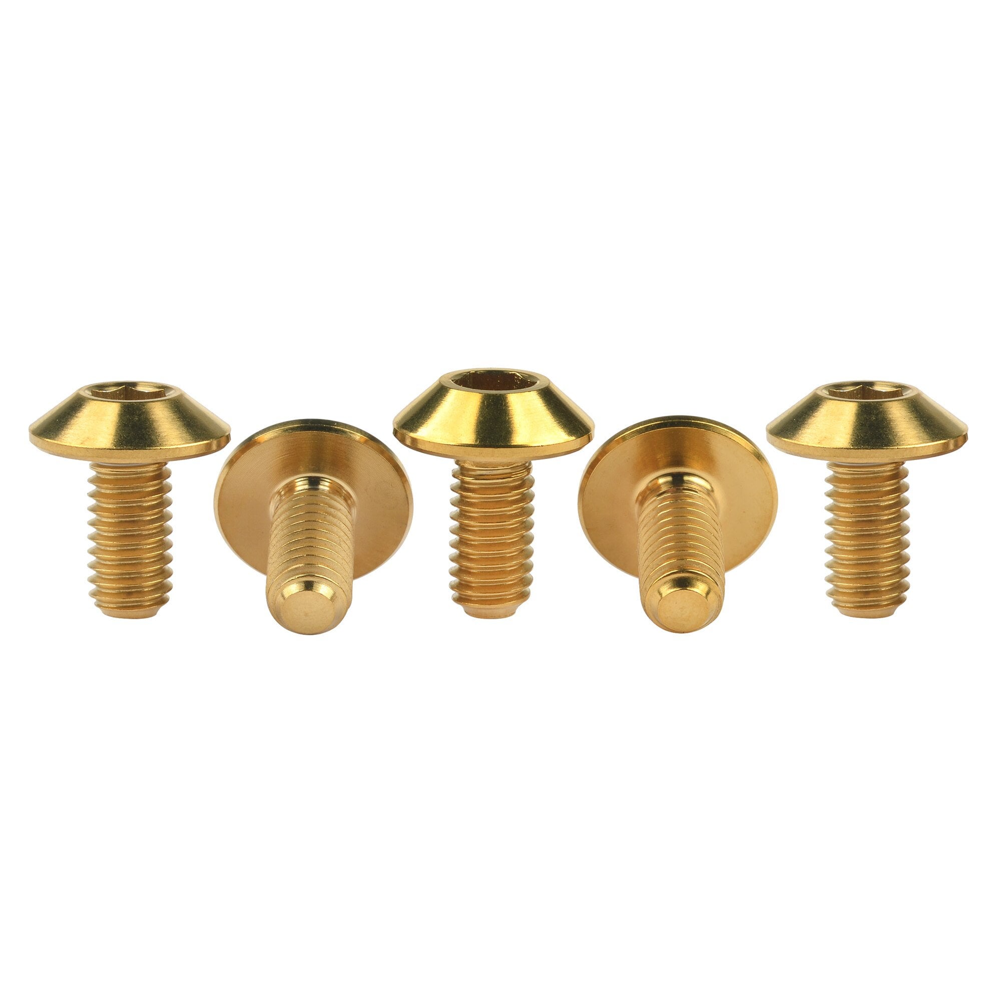 SECCARO BULLONE A testa tonda M6 x 40 mm, acciaio inox V2A VA A2, DIN