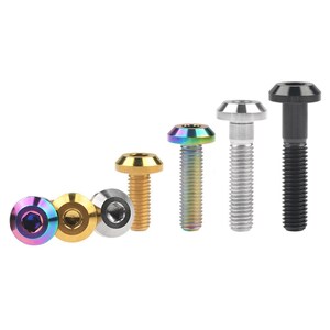 May include: Assortment of six titanium screws with different colored heads, including black, silver, gold, and iridescent.