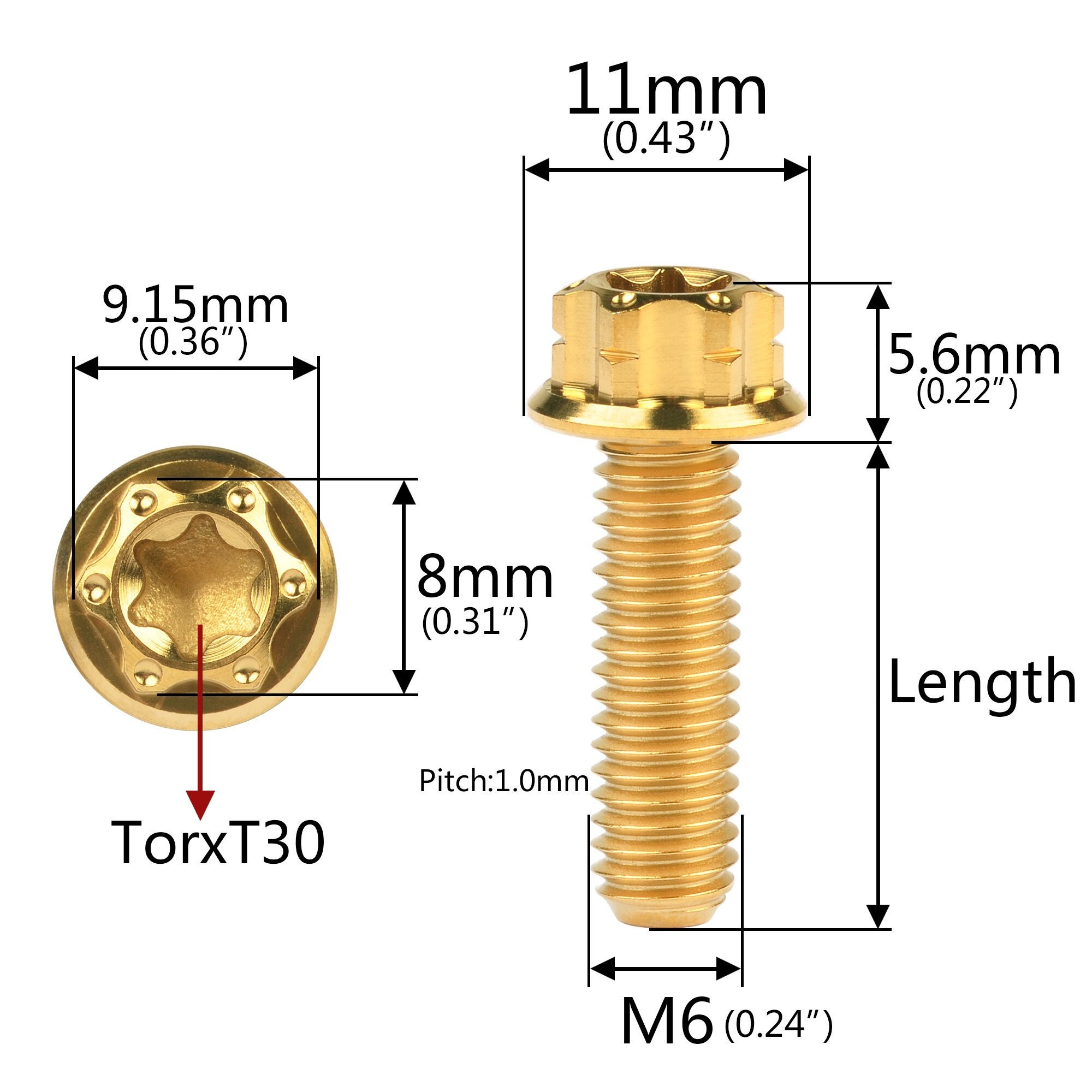Nero Triumph M6 10-35 Carenatura Titanio Profilo Basso T30 Torx