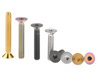 RISCHIO 4 Pz/lotto In Lega Di Tanio M6 * 20 Millimetri MTB Della Bicicletta Manovella Bulloni Testa A Brugola Bici Da Strada Di Montagna Ciclismo Guarnura Vi M6 X 20 Millimetri - Foto 10