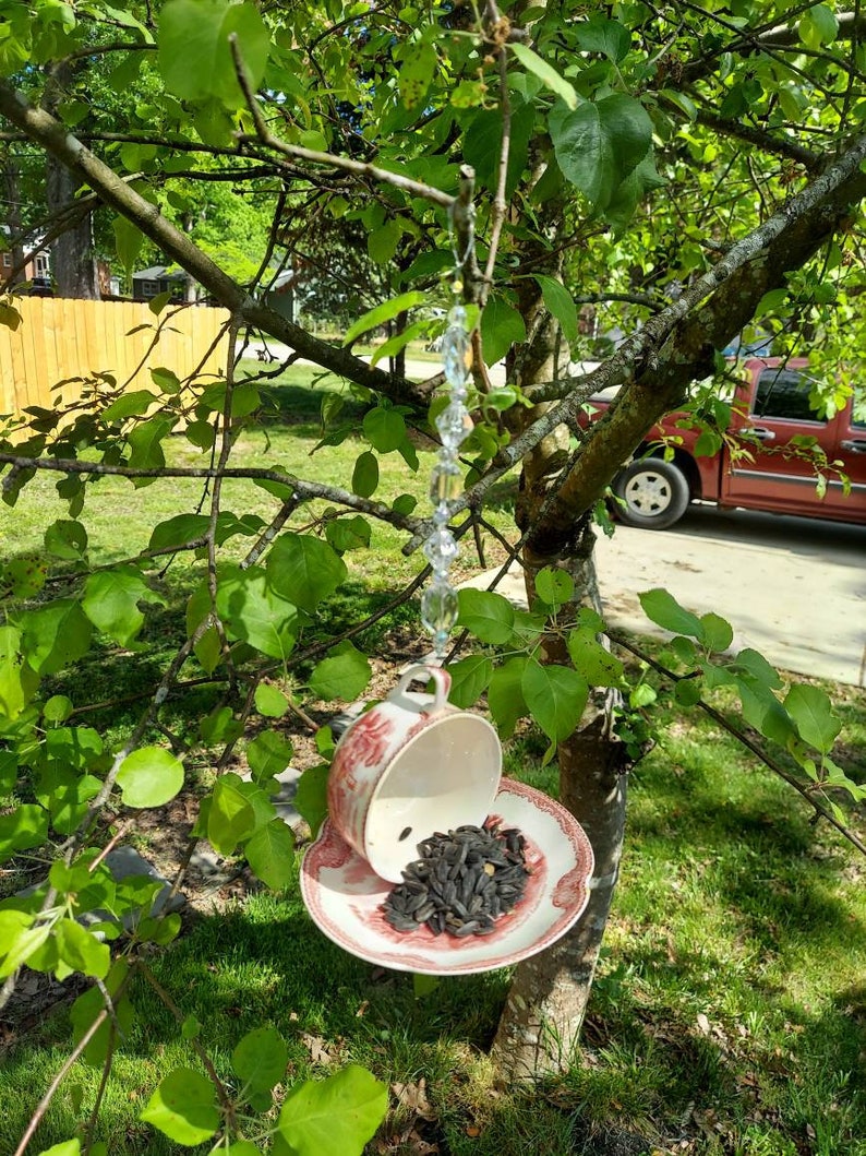 Vintage Teacup Bird Feeder Etsy