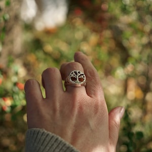 Tree of life amber ring, Celtic signet ring, Amber ring,