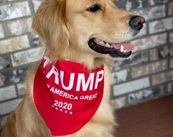 maga dog sweater Cinosural International School