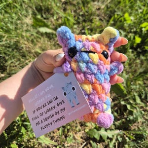 May include: A handmade, colorful crochet worry pal in shades of blue, yellow, orange, and pink. The plush toy has small black eyes and a tag that reads, "Hello! I am your worry pal...give me a squish on my fluffy tummy."