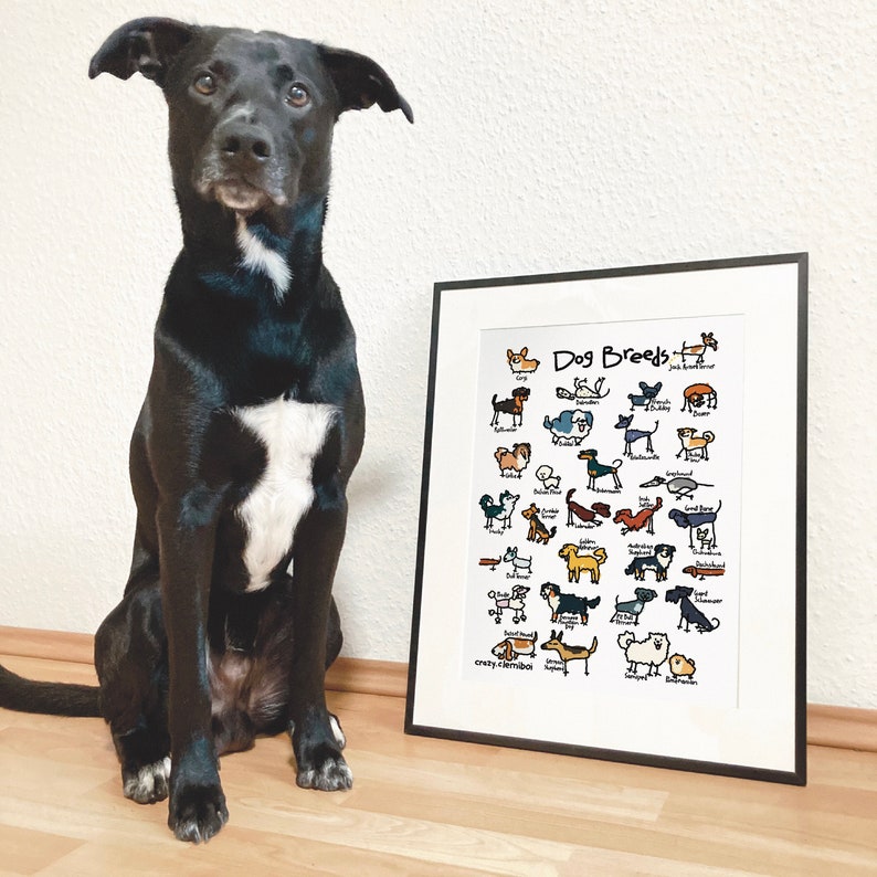 Dog Poster Dog Breed Poster Pet Poster Dog Illustration Etsy