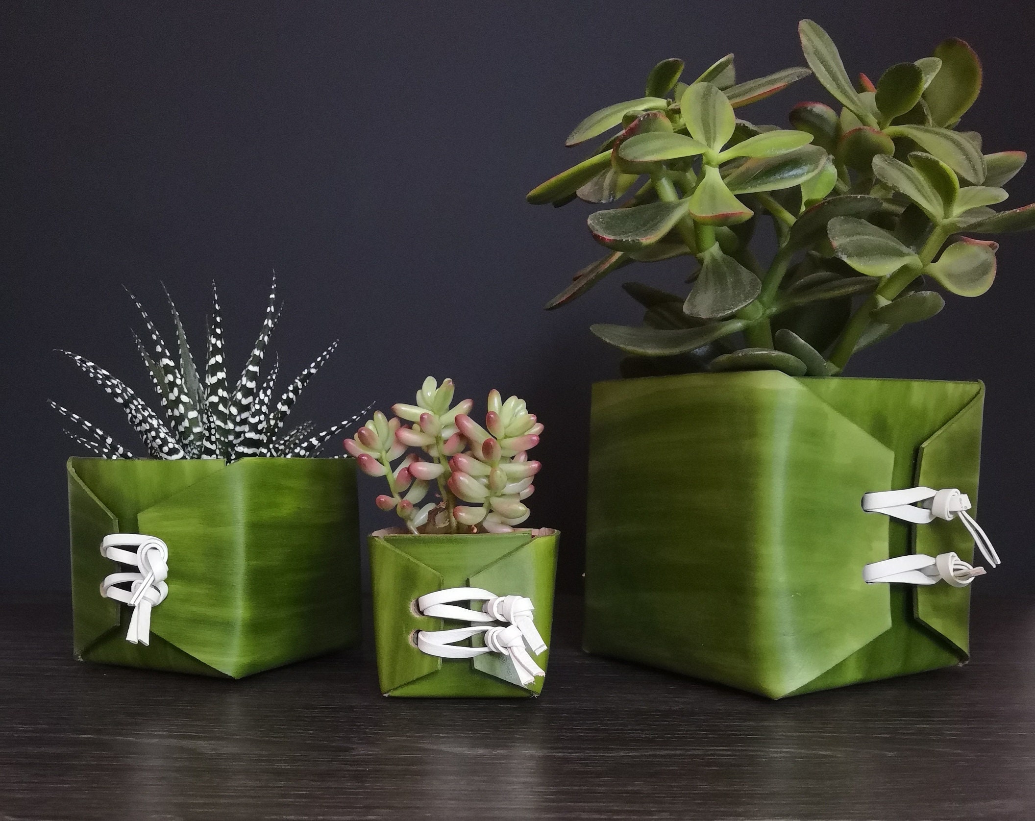 Cache-Pot Carré Vert, Cuir Tannage Végétal, Pot Succulente