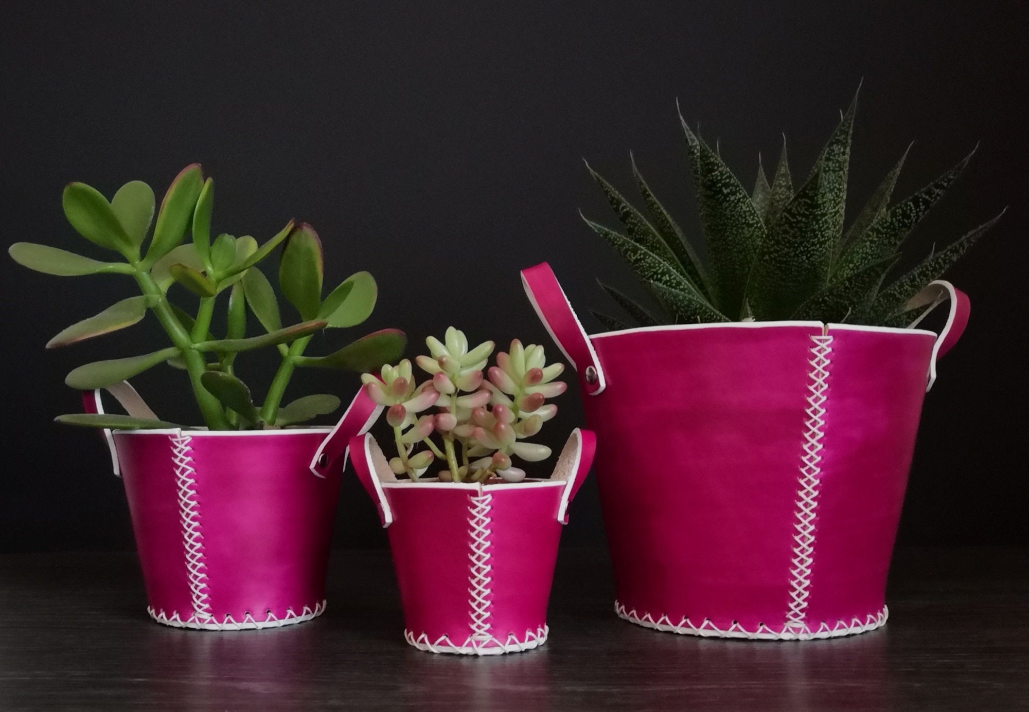 Cache-Pot en Cuir , Couleur Fuchsia, Succulent Pot, Cactus