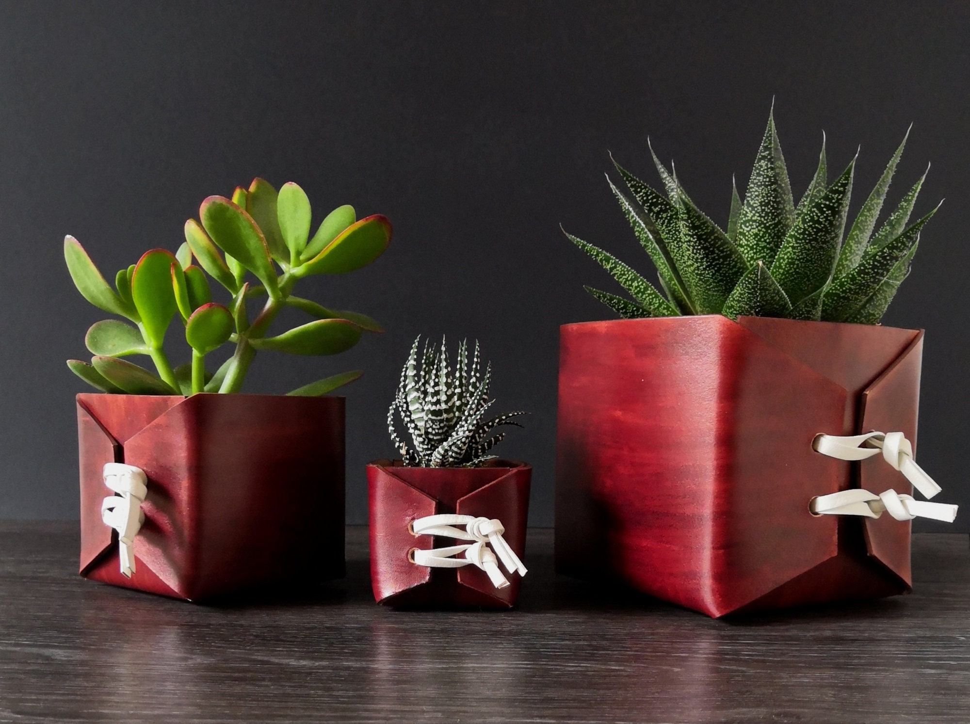 Cache-Pot Carré Acajou, Cuir Tannage Végétal, Pot Succulente