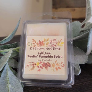 Fall Scents* Soy Wax Melts