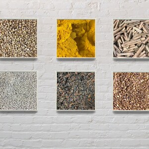 Digital Prints - Spices and Nuts Patterns