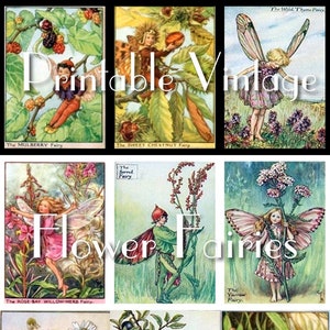 Printable miniature vintage flower fairy art for decoupage, doll house paintings, projects, 39 Pictures, 1:12 scale, 3   border types, jpg