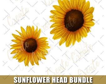 Sunflower Waterslide Download Etsy