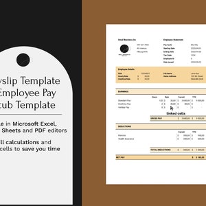 Payslip Template | Employee Pay Stub | Payroll Check Template | Editable in Excel and Google Sheets