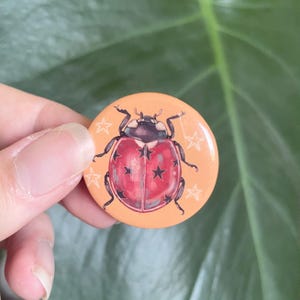 Puede incluir: Un botón redondo con fondo naranja presenta una ilustración detallada de una mariquita con estrellas negras en su caparazón rojo. La mariquita está rodeada de estrellas blancas.