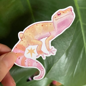 May include: A sticker of a pink and orange gecko with a star on its tail. The gecko is looking up and has a happy expression.