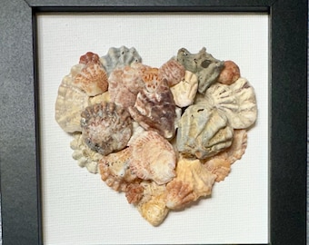 May include: A square black frame containing a collection of various seashells arranged in the shape of a heart. The shells are in shades of tan, beige, brown, and grey, set against a white textured background within the frame's border.