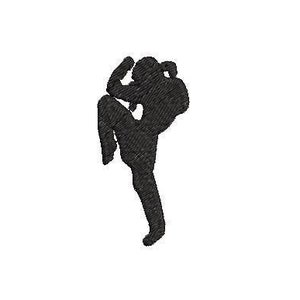 May include: Silhouette of a person in a martial arts pose, kicking with their right leg.