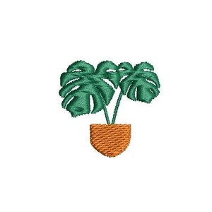 May include: A green potted plant with two large leaves in a terracotta pot.