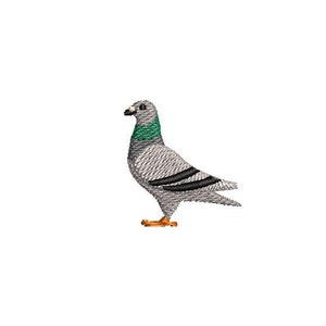 Pigeon Bird Embroidery Design Embroidery File Digital Design Instant Download
