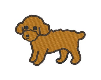 May include: A brown poodle with black eyes and a curly coat. The dog is standing on all four legs with its head tilted slightly to the side.