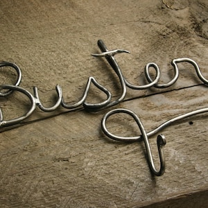 May include: A metal hook shaped like the word "Buster" with a decorative swirl at the end. The hook is attached to a wooden surface.