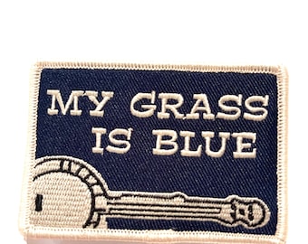 blue grass patch billy strings!!